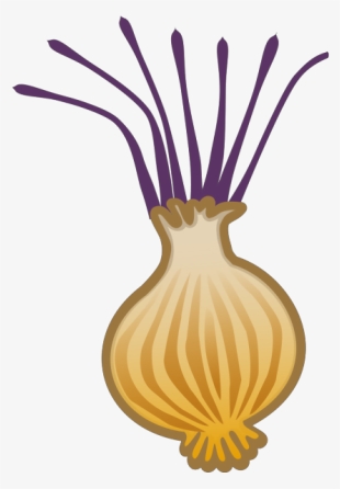 Onion - Vegetables Clipart #4242143