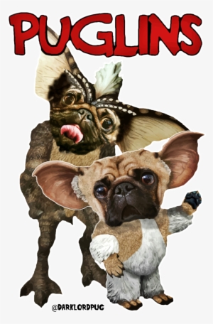 Puglins @darklordpug - Pug #4242214