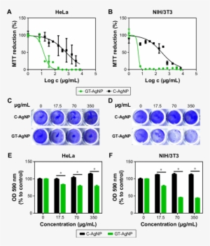 Antiproliferative And Cytotoxic Effects Of Green Synthesized - Cell #4242355
