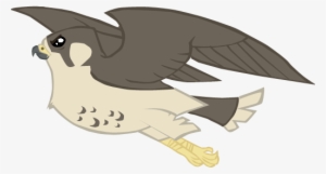 Alicesstudio, Bird, Falcon, Flying, Peregrine Falcon, - My Little Pony Falcon #4242415