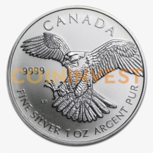 1 Oz Birds Of Prey Peregrine Falcon - Silver #4242469