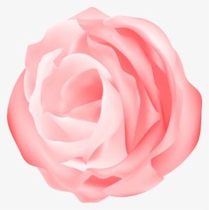 Camellia Clipart Digital Camellia Flower Clip Art Pink #4243495 Camellia Clipart Digital Camellia Flower Clip Art Pink #4243495