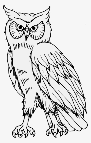 Details, Png - Illustration #4244578