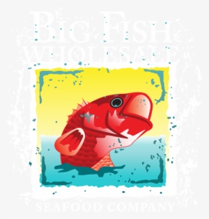 Big Fish Wholesale - Wholesaling #4245039