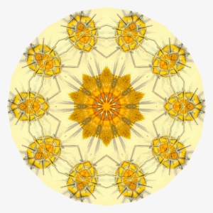 All Photo Png Clipart - Design #4246261