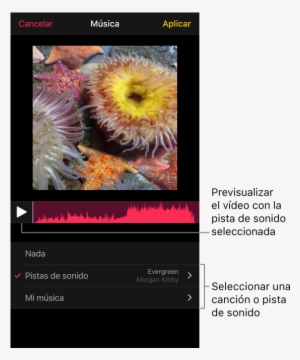 Bajo La Imagen Del Visor Hay Un Botón De Reproducción - Music #4246389