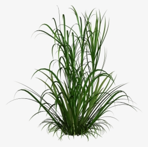 Read More - Out Of Africa Mug #4246430