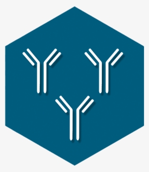 Polyclonal Antibodies - Advanced Immunochemical Inc. #4246703