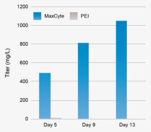 High Titer Antibody Production In Cho-k1sv Cells - Number #4246783