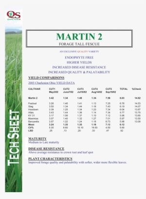 Tall Fescue #4246951