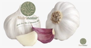 Diente De Ajo Sin Fondo #4247143