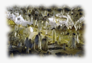 Ajo) It Is A Grotto Of 17 Km - Cueva Del Soplao Santander #4247169