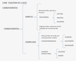 Lunes, 2 De Julio De - Esquema De Llaves De Esquema De Llaves #4247176