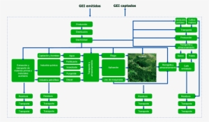 Cafe Huella Carbono Peq - Huella De Carbono Del Cafe #4248278