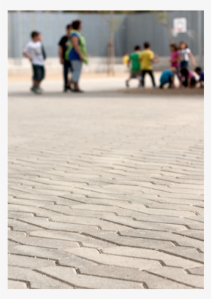 Huella Semi-seco Bicapa Prensado De Pau Casaldàguila - Lipid Bilayer #4248484