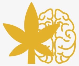Marijuana Brain Health - Memory #4249316