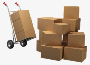 1 410 - Shipping Orders #4250853