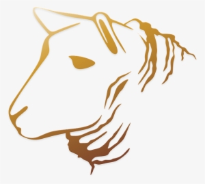 Ladies Mule Slippers, Sheepskin, Wool Lined - Papucs #4251281