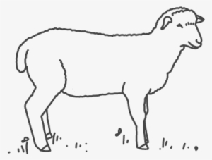 Harmony Farm - Farm #4251330