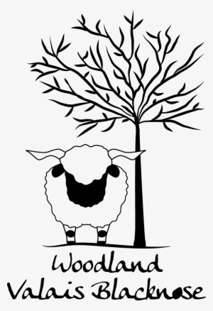 Breeder Info - David Beckham Wallpaper 2010 #4251365