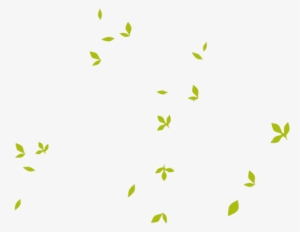 Folhas - Folhas Png #4252115