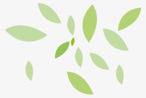 Folhas - Leaf #4252432