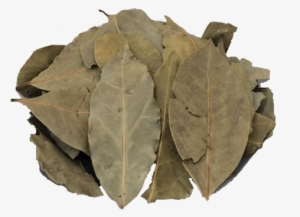 Louro Turco Em Folhas - Bay Leaf #4253016