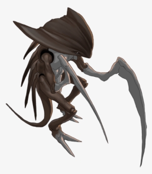 Pokemon Kabutops Real #4253063