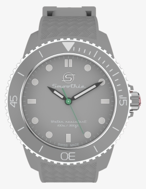 Grey Swiss Wrist Watch With Time Indicating - Al 281by3v4b #4253066