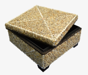 Strombus Shells Seashells Treasure Box-18x18x11" #4253601