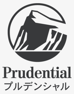 Pru Japan Vert Bw - Wholesale Light-up Beer Mug #4254138