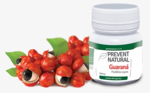 Guaraná - Prevent Natural - Guarana Seed #4254628
