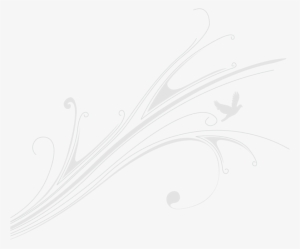 Bolton Abbey Weddings - Line Art #4254910