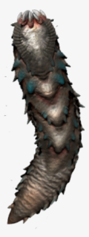 Inhabiting The Asteroid Belt Of Solar Systems, They - Pipevine Swallowtail #4255116 Inhabiting The Asteroid Belt Of Solar Systems, They - Pipevine Swallowtail #4255116