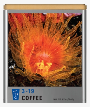 Sublime - Anthracite #4256908