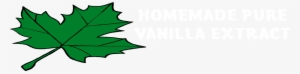 Homemade Pure Vanilla Extract #4257122