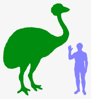 Elephant Bird - Size #4257410