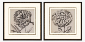 Graphic Floral Art - Vision Studio - Graphic Floral V #4257626