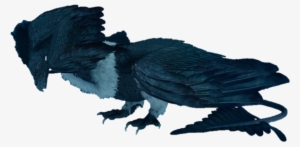 Zu - Final Fantasy Xv Zu #4257871