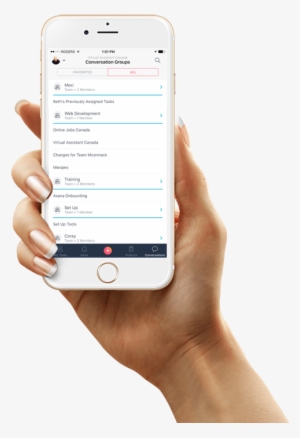 Frequently Asked Questions - Woman Hand Holding Iphone 6 #4258165