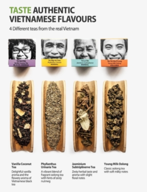 Sense Asia Tea Sampler Tea Gift Collection Of Loose - Skateboard #4259659