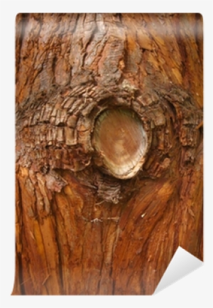 Tree Bark Texture Abstract Background Wall Mural • - Abstract Art #4259665