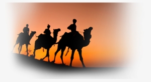 The Arab Merchants Travelled Across The Desert With - Dvd Census And The Star, #4260248