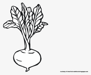 Beetroot Clipart Black And White - Beetroot Black And White #4260665