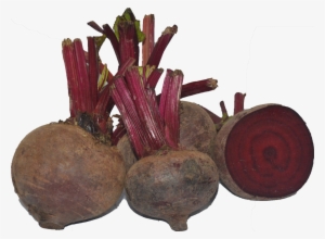 Next Previous - Beetroot #4260804