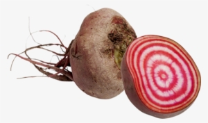 Products Used - Candy Beetroot #4260863