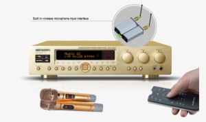 Wireless Microphone Interface - Dolby Digital #4261733