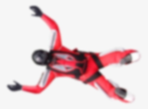 Partners - Biathlon #4262094