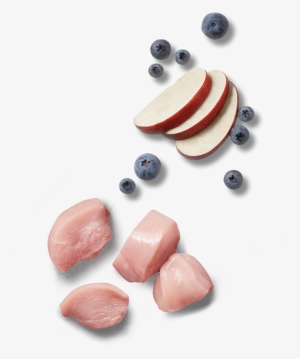 Learn How Raw Nutrition Is Different - Kidney Beans #4263017