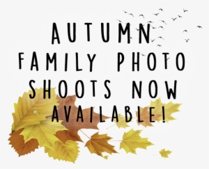 Page Banner Saying Autumn Shoot - Autumn #4264614